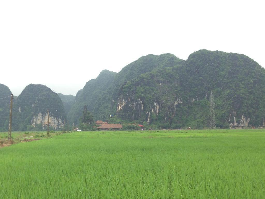 Tam Coc Homestay Ніньбінь Екстер'єр фото