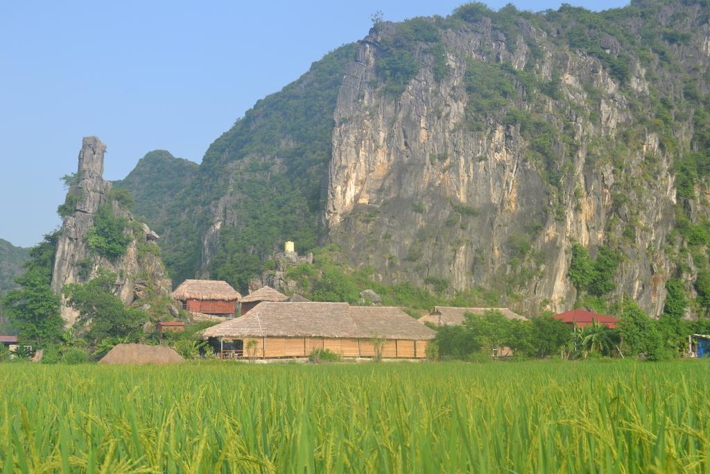 Tam Coc Homestay Ніньбінь Екстер'єр фото