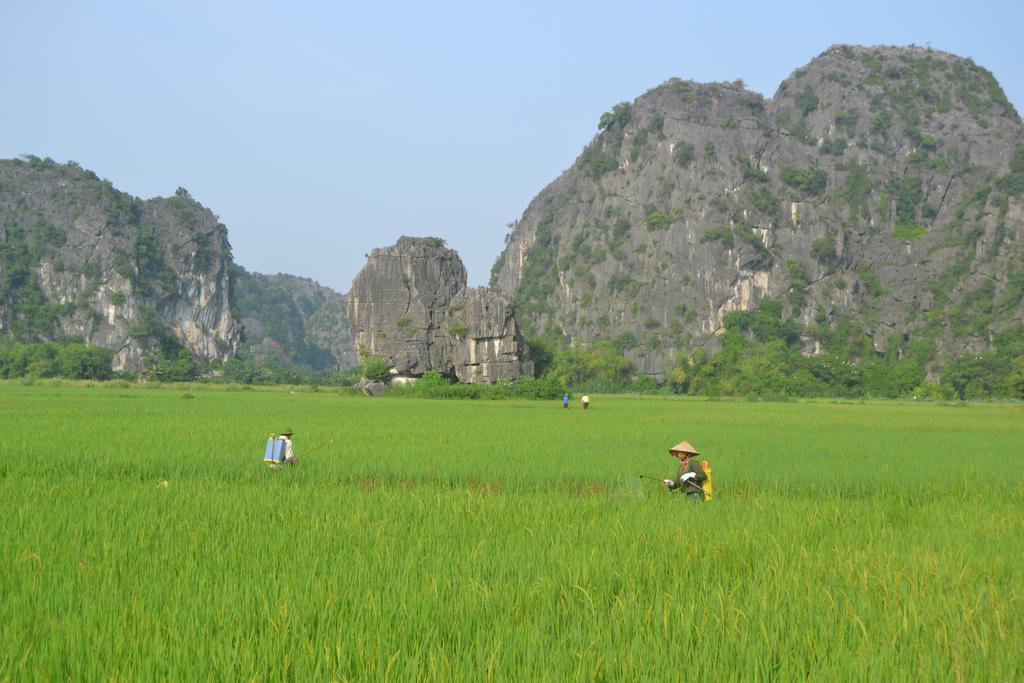 Tam Coc Homestay Ніньбінь Екстер'єр фото