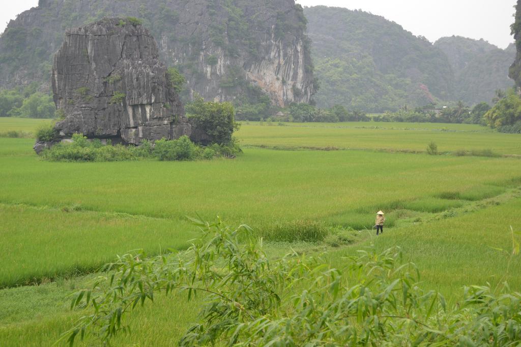 Tam Coc Homestay Ніньбінь Екстер'єр фото