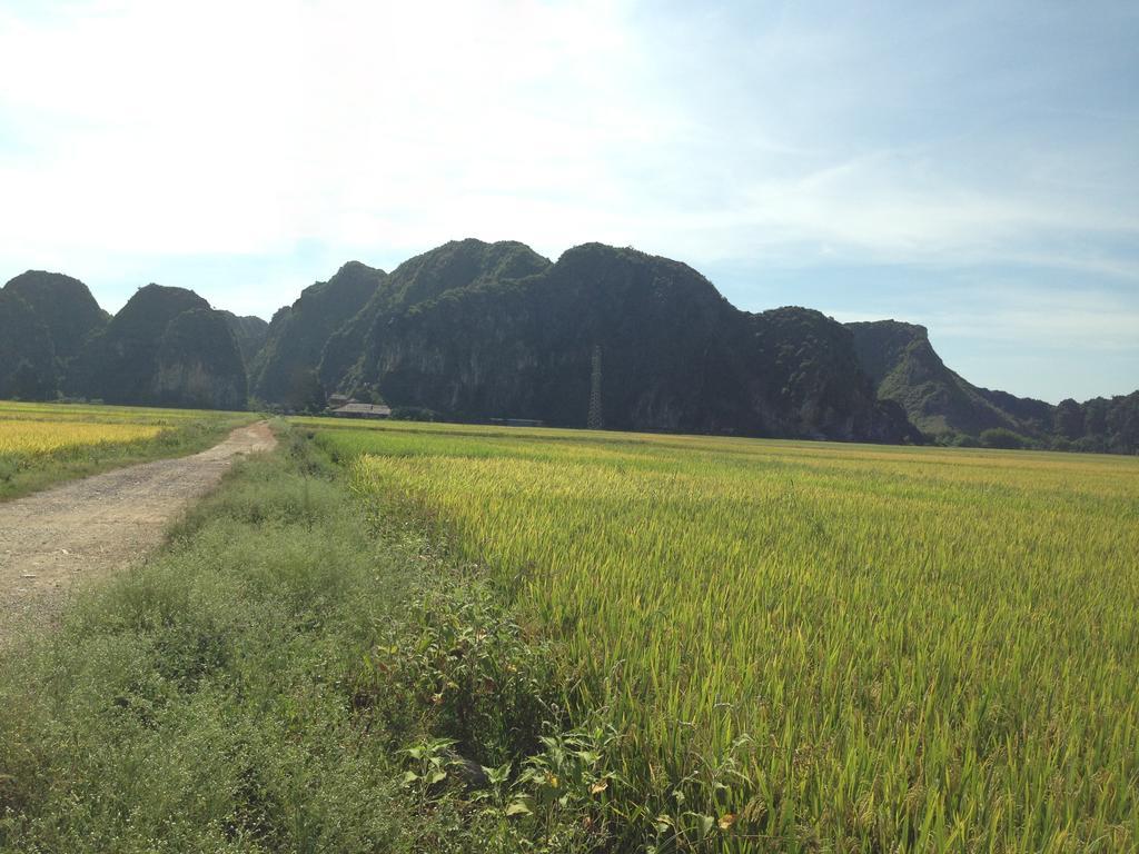 Tam Coc Homestay Ніньбінь Екстер'єр фото